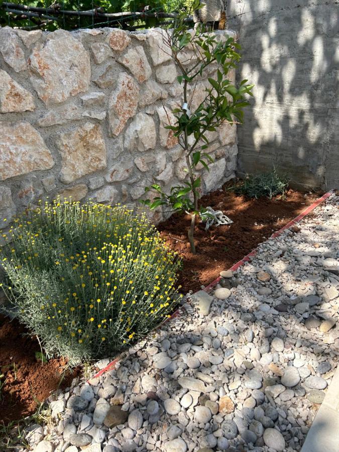 Bonvivan House Diminići المظهر الخارجي الصورة